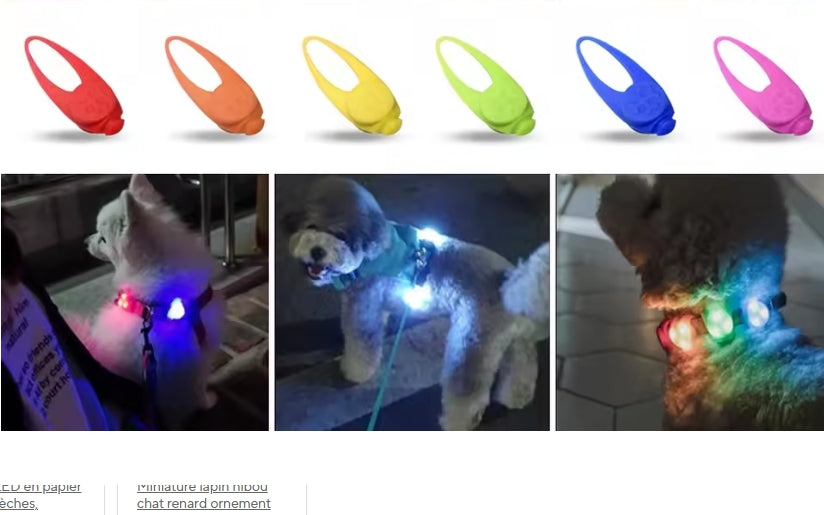 Médaille LED Lumineuse pour Collier - Sécurité Nocturne