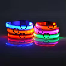 Collier Fluorescent pour Animaux
