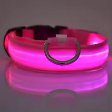 Collier Fluorescent pour Animaux