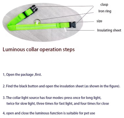 Collier Fluorescent pour Animaux